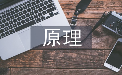 人来历根基现实文