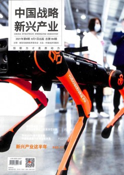 中国计谋新兴财产杂志
